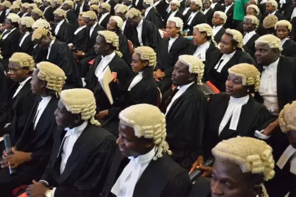 Nigerian Lawyers