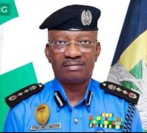 Inspector-General of Police (IGP), Kayode Egbetokun