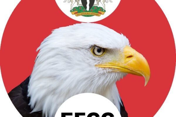 The Economic and Financial Crimes Commission, EFCC