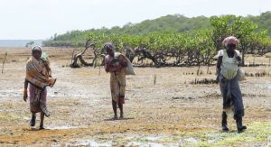 African battling with impact of climate change