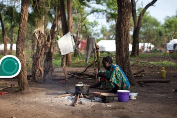 South Sudan to face severe food insecurity next year, UN says