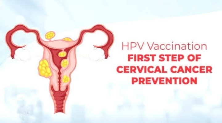 Human Papillomavirus (HPV), Cervical Cancer