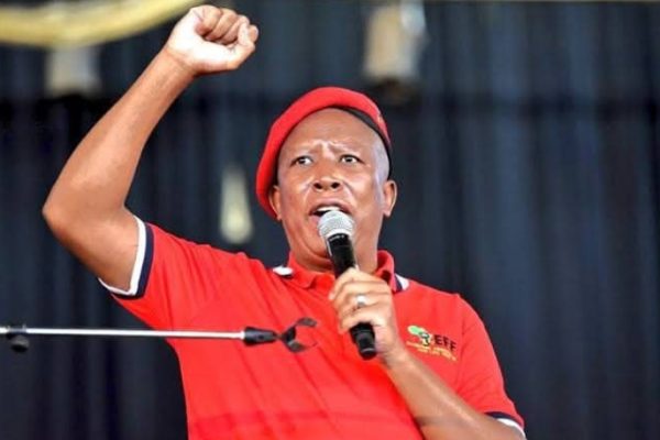 South African EFF Party leader Julius Malema