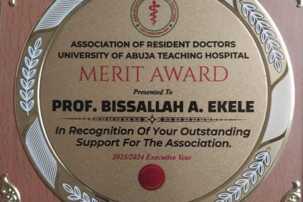 Ekele Bags Leadership Award