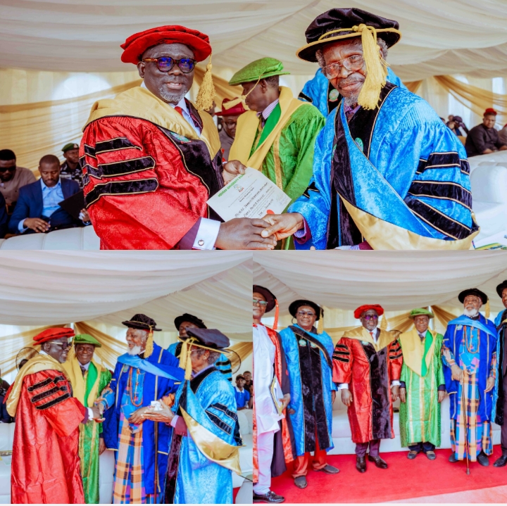 Novena University awards Oborevwori a doctorate degree