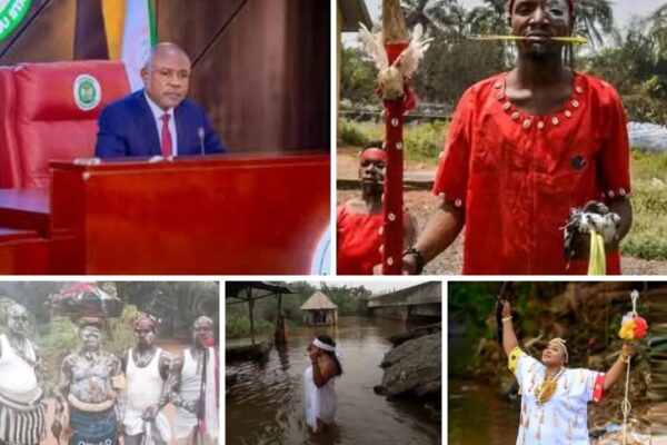 Enugu Govt to regulate unlicensed herbalists and traditional healers Enugu Govt to regulate unlicensed herbalists and traditional healers