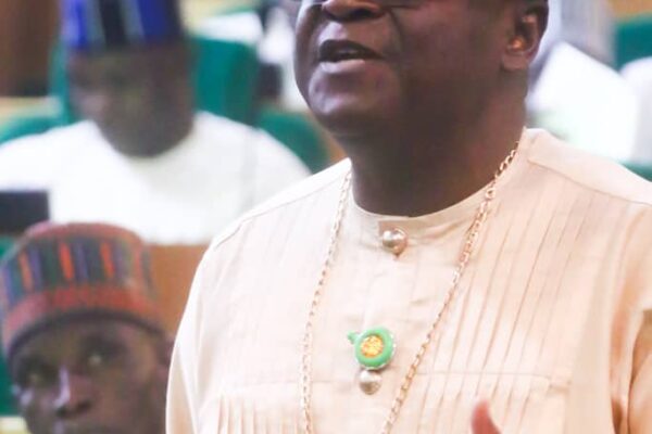 Ughellli-Udu Rep Applauds Tinubu, Oborevwori Over Devt Strides A member of the House of Representatives, Hon. Francis Ejiroghene Waive