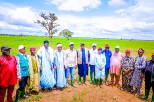 Nasarawa: Agriculture Minister visits Ayarkeke rice farm, pledges FG support