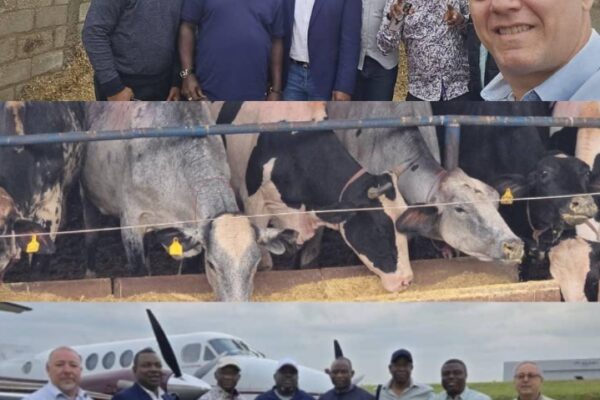 Oborevwori seeks partnership with Brazilian farmers, sends delegation to visit ranchers Oborevwori seeks partnership with Brazilian farmers, sends delegation to visit ranchers