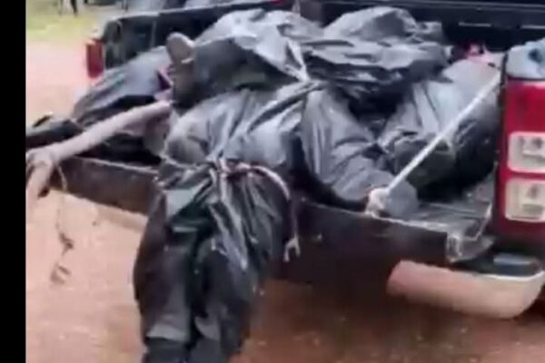 ALIA REMAINS SILENT AS HERDERS KILL SECURITY MEN, OTHERS IN BENUE Security men killed by armed suspected herders in Benue State